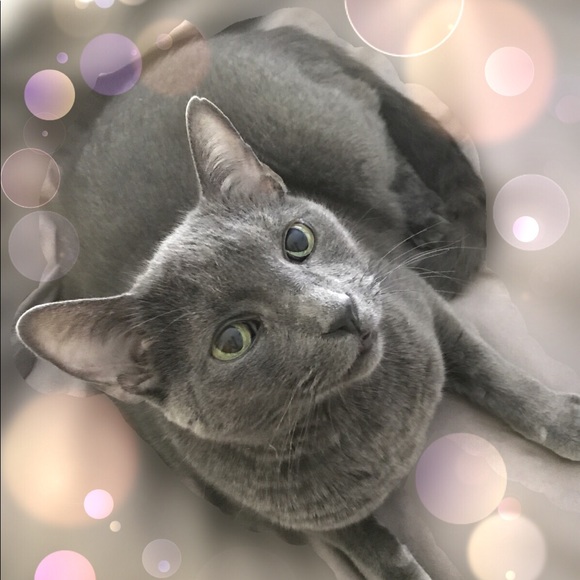 Shop our mom's closet! 😻😻😻 - Picture 9 of 16